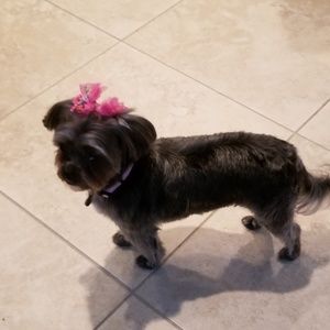 Meet your Posher, Cheryl